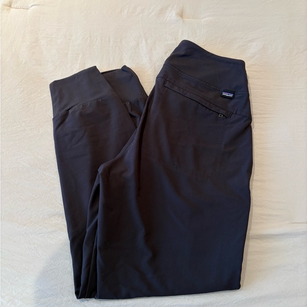 Dark Patagonia Joggers